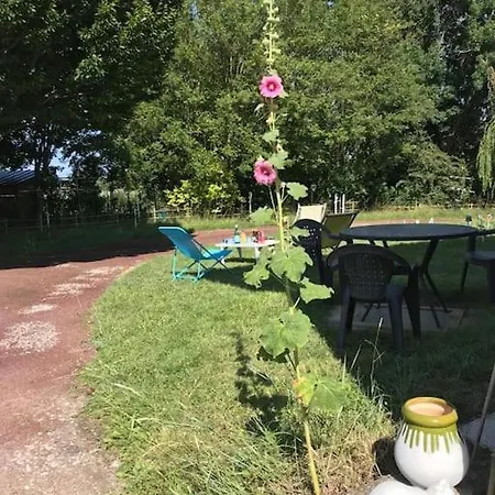 65m2 Centre Apartment